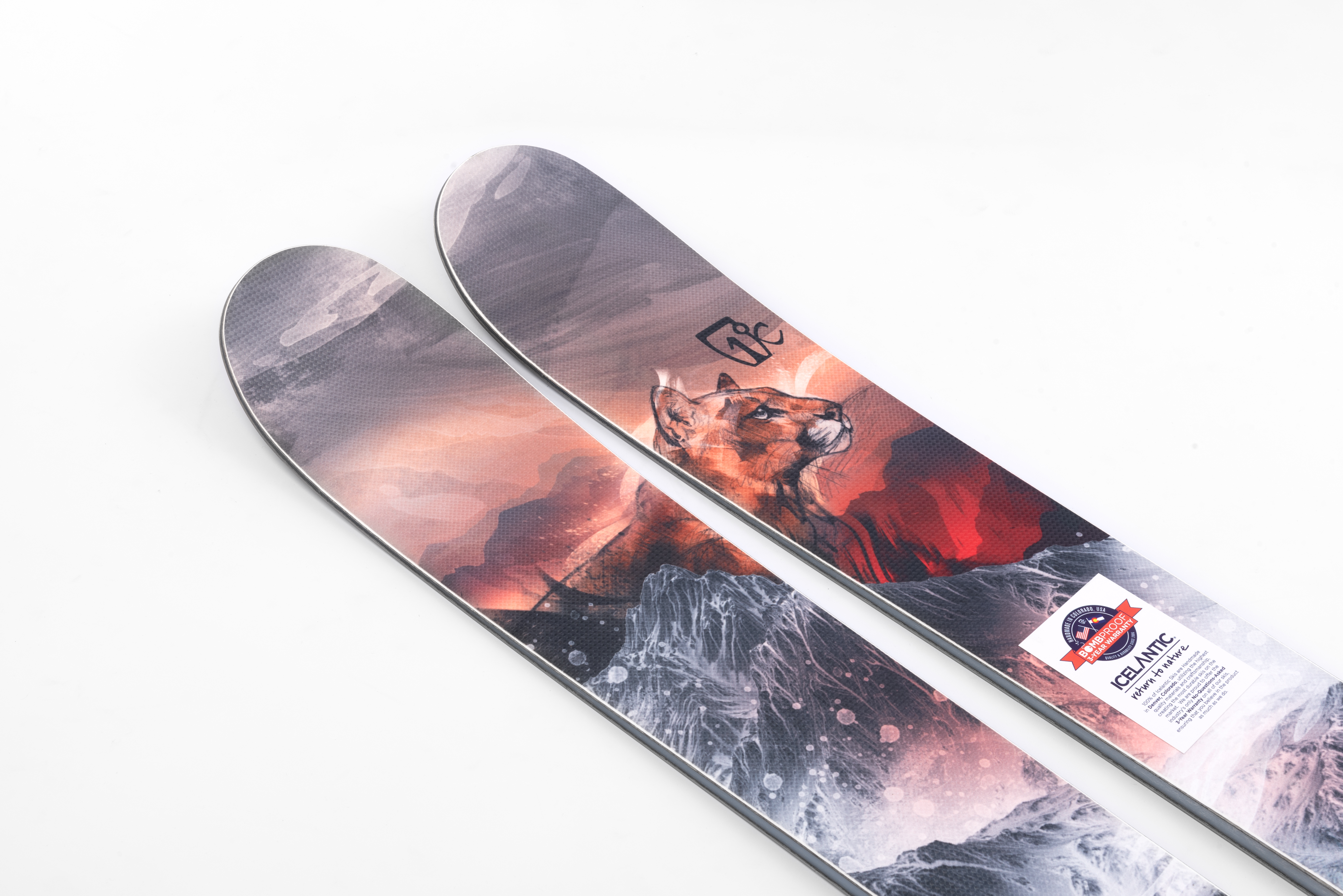 ᐈ Icelantic Nomad 115 2019/2020 181cm купити по ціні 25 728 грн