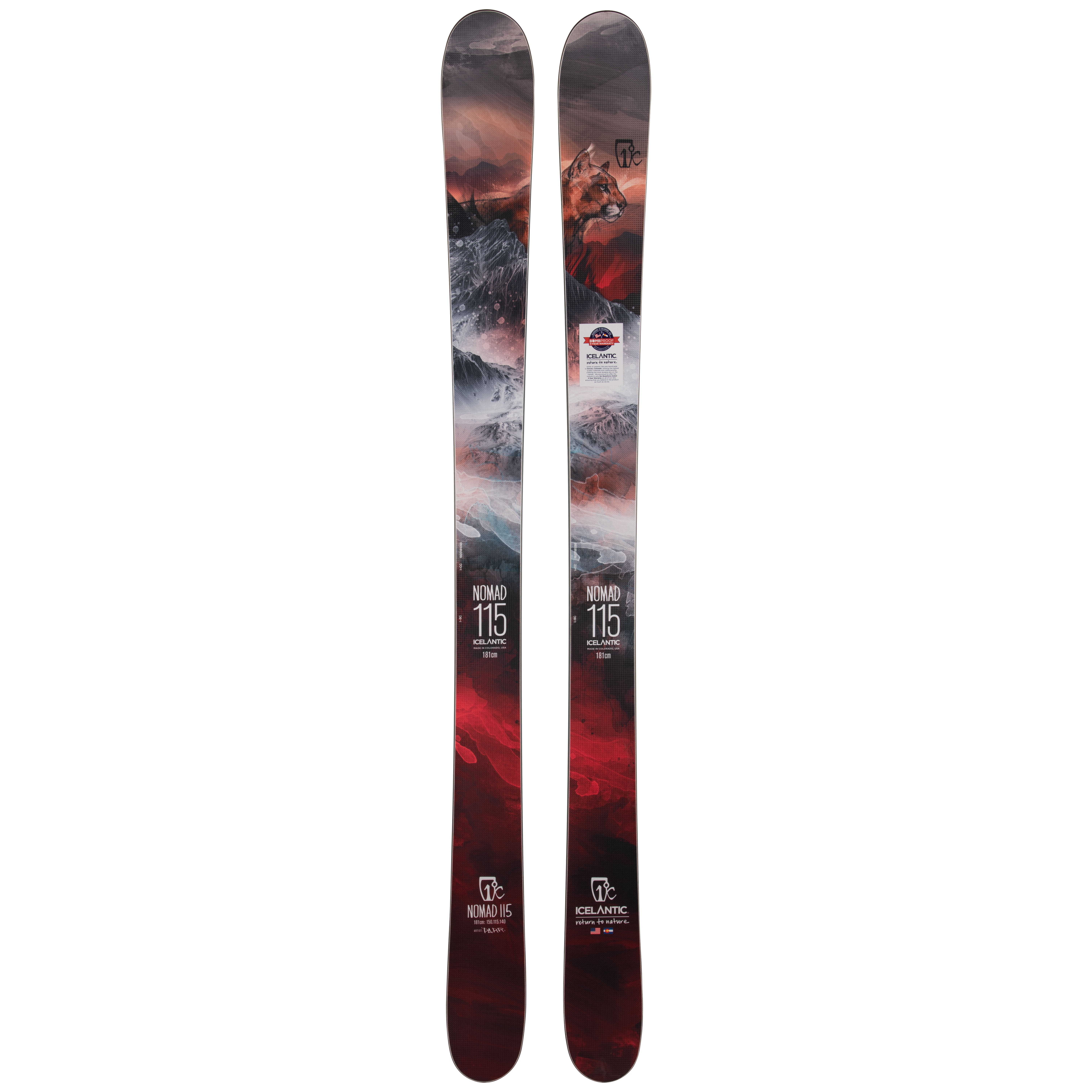 Женские лыжи Icelantic Nomad 115 2019/2020 181cm