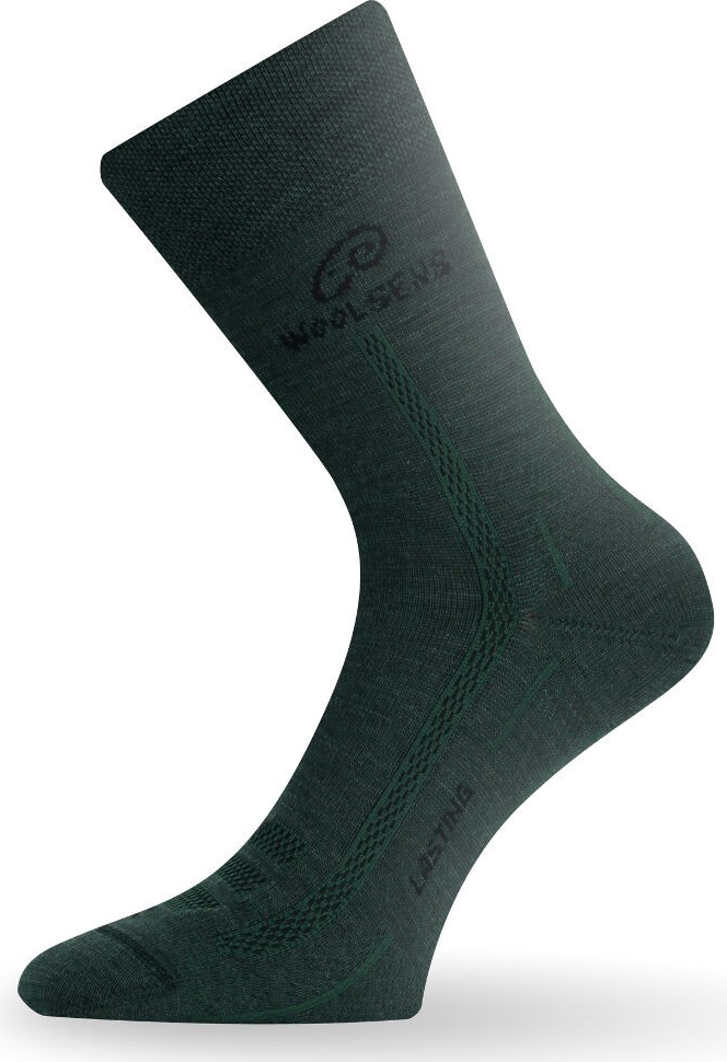 Зелені шкарпетки Lasting WLS 620 - M